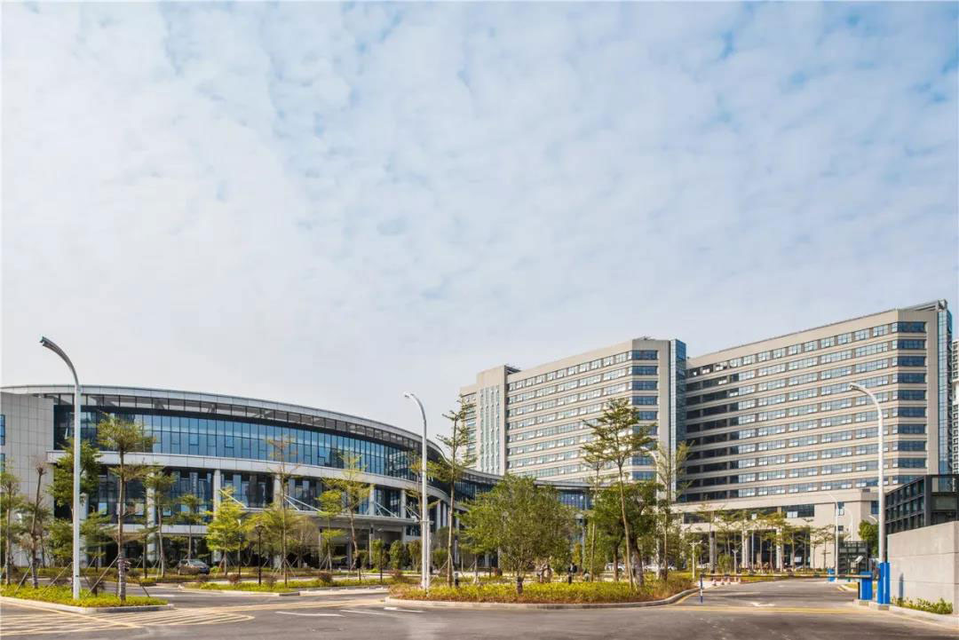 1560158235123286.jpg 深大1-W.jpg